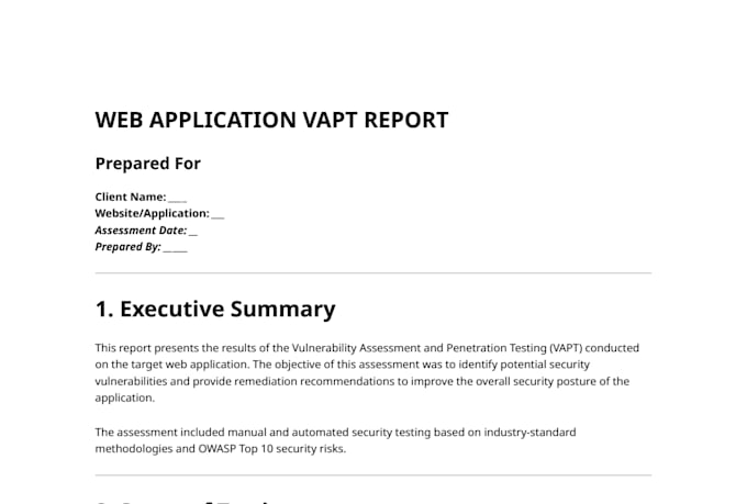 perform professional web application vapt testing